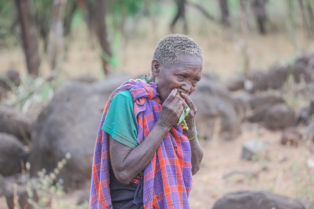Explore Tanzania with a Chinese-Speaking Guide
