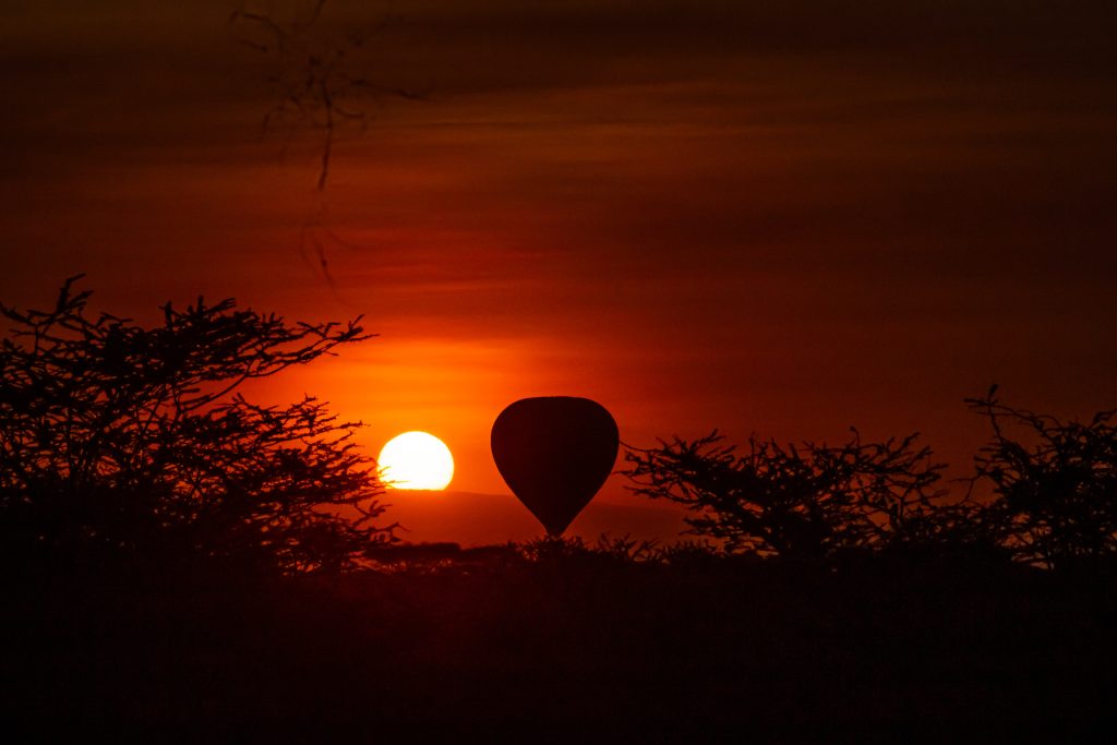 Tanzania Safari in November