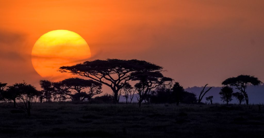 Tanzania Family Safari with Children