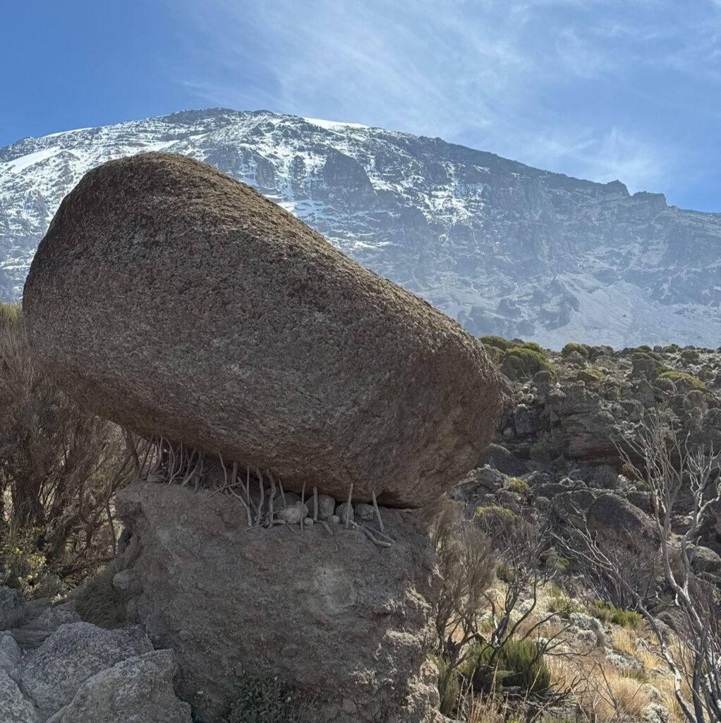 Kilimanjaro Airport Transfers – Start Your Tanzania Adventure the Right Way