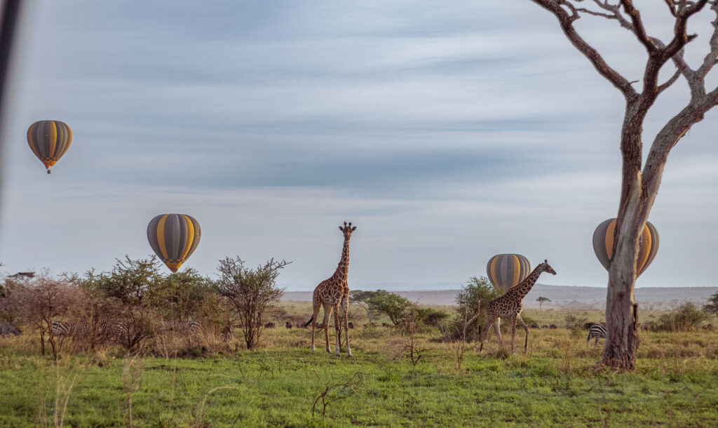 Tanzania Muslim-Friendly Safari | Halal Travel & Islamic Tours with Tanzaniatrail