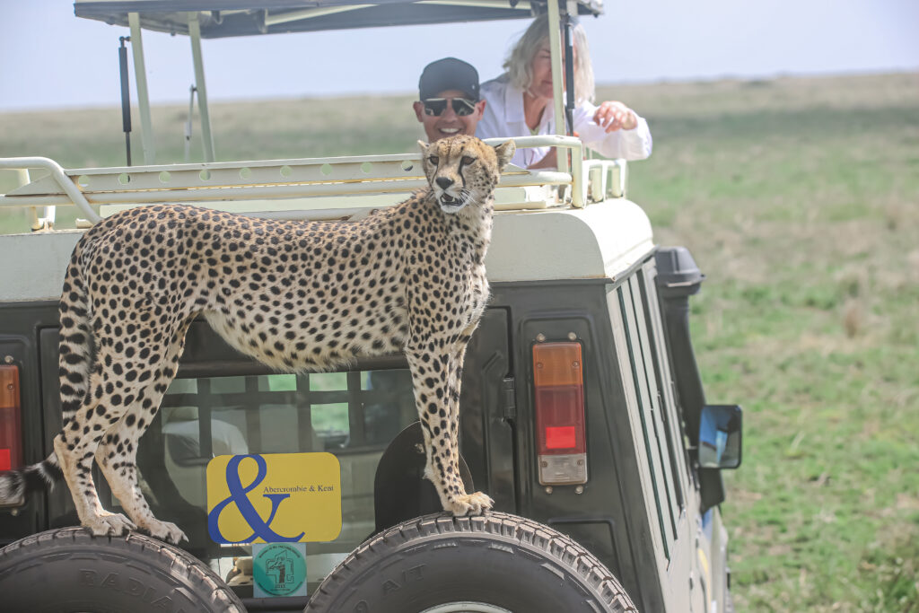 B2B Tanzania Safari Partnership