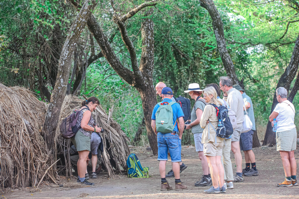 Tanzania safari for Seniors / 60+ Years